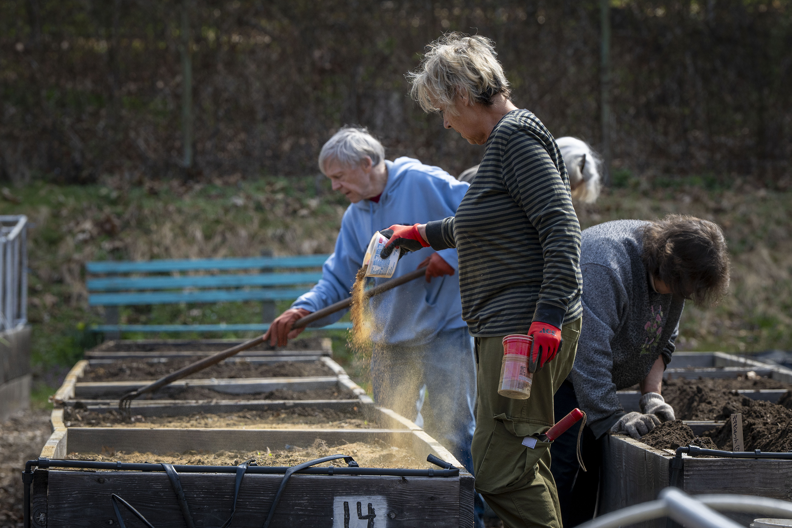 a group of master gardeners watering their planting beds